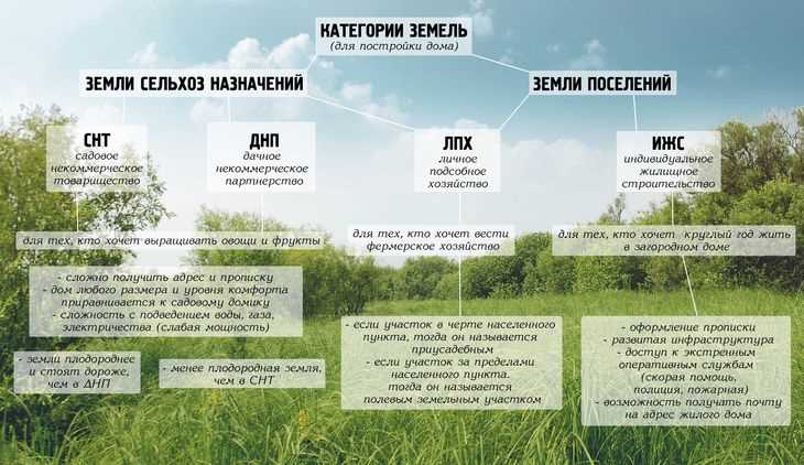 Последние статьи