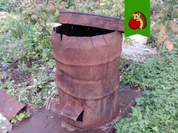 Утвержденные штрафы за сжигание мусора