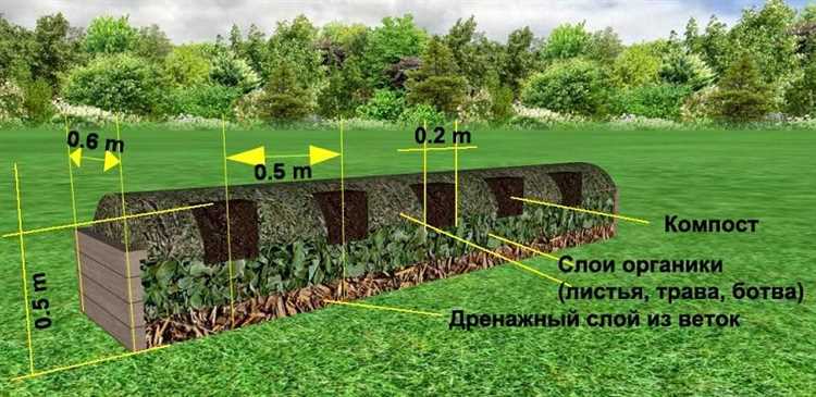 Последние статьи