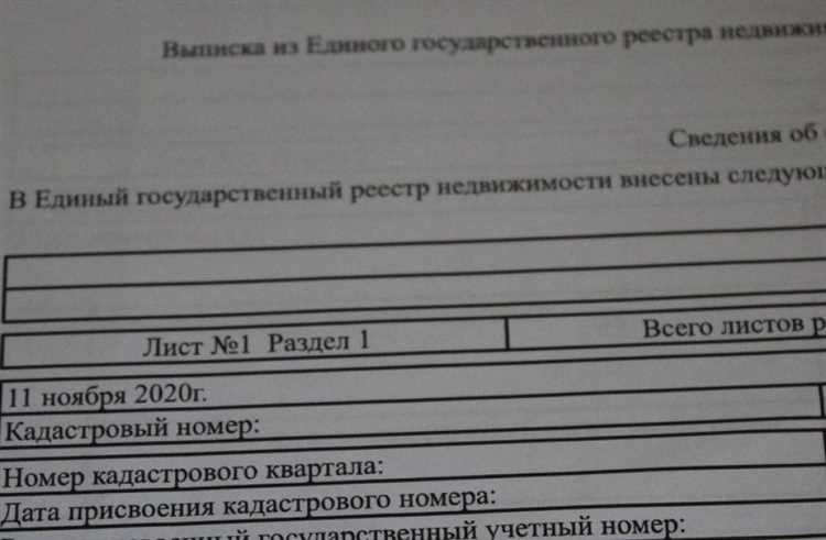 Сколько будет действовать заявление и открытый доступ?