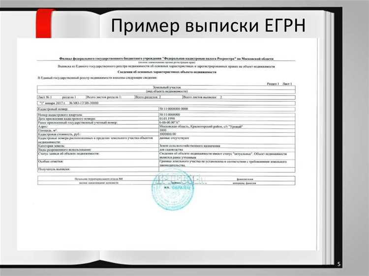 Информационное содержимое выписки